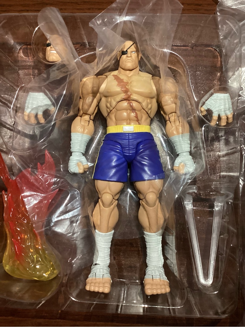 Street Fighter Alpha 3 Sagat Action Figure Sagat Storm Arena - Picture 2 of 16
